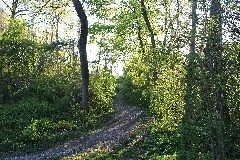 Amperauen02