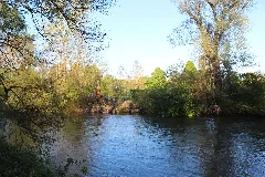 Amperauen03