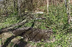 Amstetten Naturdenkmal Am 081 Kalktuffquellen Am Jakobsbrunnenweg Ii