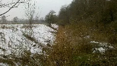 An Der Planie