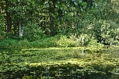 An Der Wakenitz Panoramio