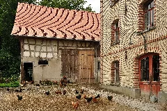 Andelfingen Haldenmühle Mit Nebenbauten, Landstrasse 80 2011 09 17 13 31 02 Shiftn