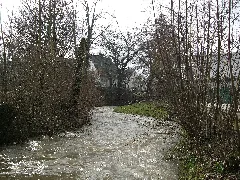 Angerbach Bei Ratingen