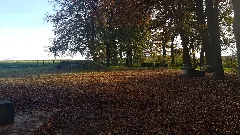 Ankumer Hundefreilaufanlage