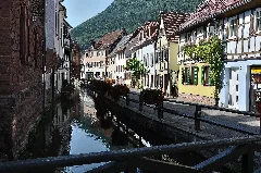 Annweiler 048