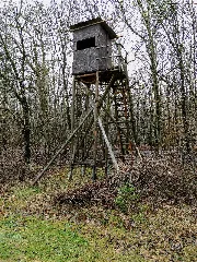 Ansitz Auf Der Warthe