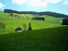 April Hochschwarzwald 1100 Mtr Master Mythos Black Forest Photography 2013 Panoramio (51)