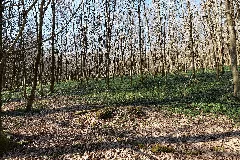 Around Klingbach In The Gutsbezirk Spessart 2022 03 09 27