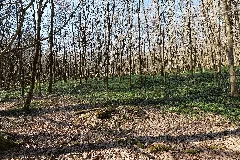 Around Klingbach In The Gutsbezirk Spessart 2022 03 09 28