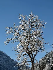 Aschau Impression Neuschnee 02