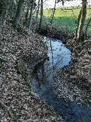 Aspenbach, Kupferzell 2021 09