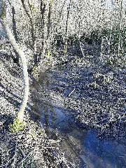 Aspenbach, Kupferzell 2021 16