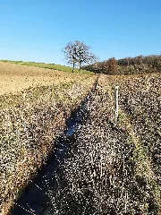 Aspenbach, Kupferzell 2021 18