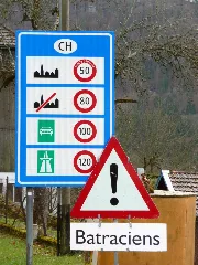 Attention Batraciens Ch