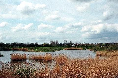 Atzendorf (Staßfurt), Biotop
