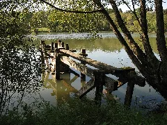 Atzenhain Holzwiesenteich