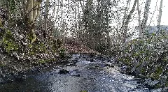 Aubach Am Weiherdamm