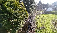 Aubach Fließt Aus Dem Wald