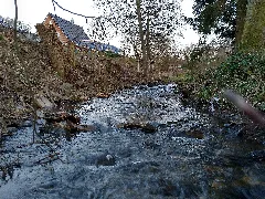 Aubach In Wildbergerhütte