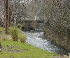 Aue (Kurpark Bad Eilsen)