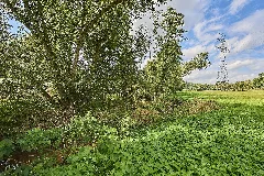 Auenbach (Zwickauer Mulde) Im Westlichsten Teil Des Auenbachtals 10