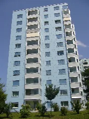 Auenringii