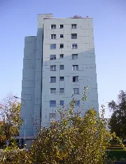 Auenringiii