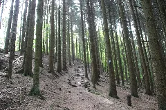 Auf Dem Jakobsweg Panoramio (3)
