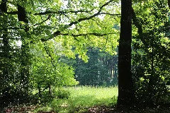 Auf Dem Jakobsweg Panoramio (5)