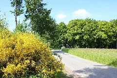Auf Dem Jakobsweg Panoramio (6)