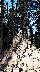 Auf Dem Steinfirst Bei Gengenbach