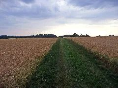 Auf Der Hochebene In Der Nähe Von Sulz Am Eck Panoramio