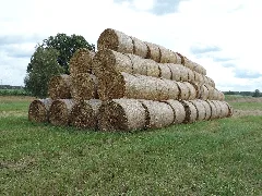 Aufgestapelt Mit System... Panoramio