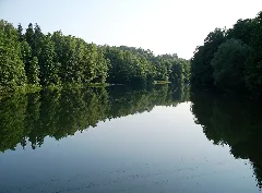 Aufgestaute Vils Bei Vilshofen An Der Donau