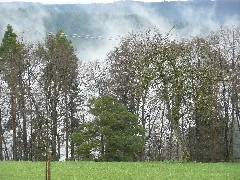 Aufsteigender Nebel Aus Dem Nagoldtal Bei Altbulach Panoramio