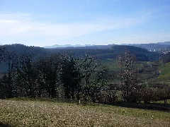 Aufstieg Rothenfluh 04