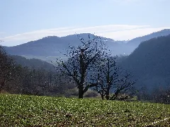 Aufstieg Rothenfluh 05