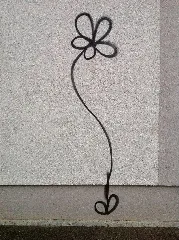 Augsburg Blume