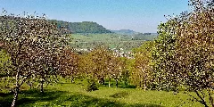 Ausblick Panoramio (45)
