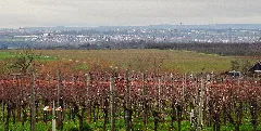 Ausblick Richtung Süden Panoramio (1)