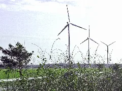 Ausblick Von Bab A7 Panoramio (2)