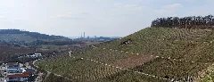 Ausblick Weibertreu 2013