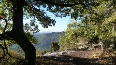 Aussicht Oberhalb Simmerbachtal