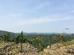 Aussichtspunkt Großer Habichtstein (2) X5H