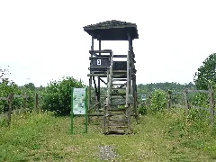 Aussichtsturm 3 Weilbacher Kiesgruben