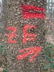 Auszeichensymbol Ze