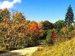 Autumn Colours Panoramio (5)