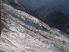 Avalanche Debris Caused By Glide Snow Avalanche