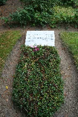 Axel V. Österreich Ambesser