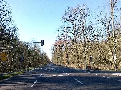 B....... Panoramio